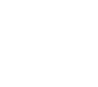 ANV