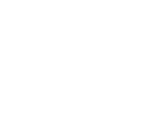 Bird & Bird